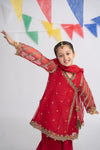 3 Piece Embroidered Organza Suit