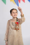 3 Piece Embroidered Organza Suit