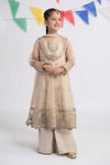 3 Piece Embroidered Organza Suit