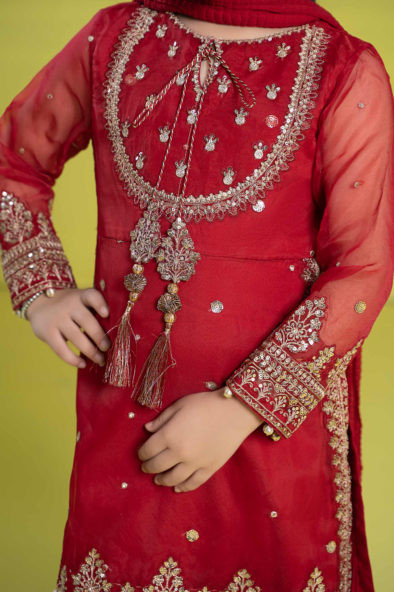 3 Piece Embroidered Organza Suit