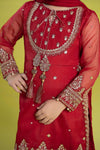 3 Piece Embroidered Organza Suit