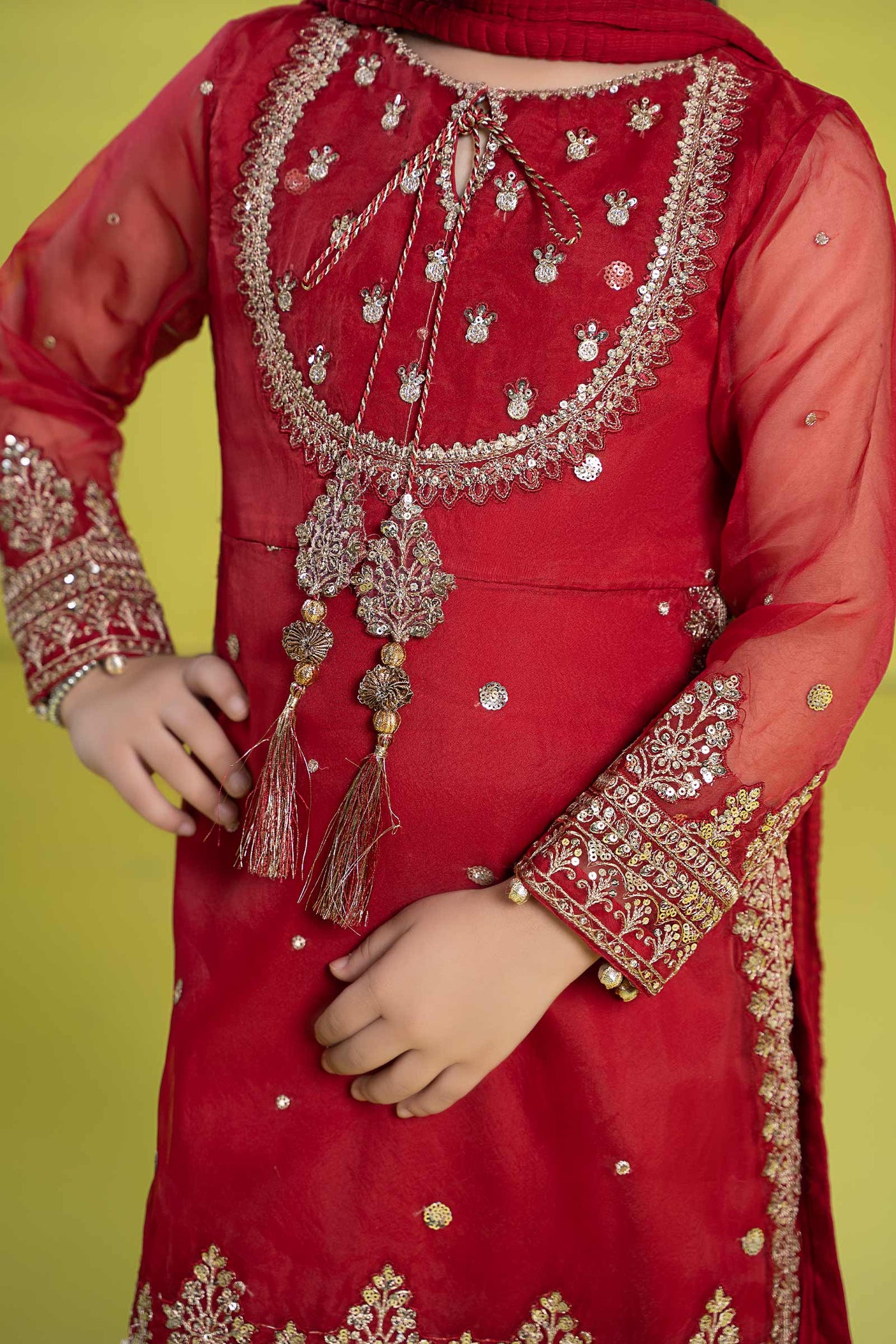 3 Piece Embroidered Organza Suit