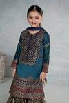 3 Piece Embroidered Raw Silk Suit