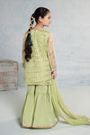 3 Piece Embroidered Organza Suit