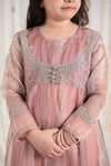 3 Piece Embroidered Zari Net Suit