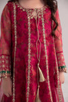 3 Piece Embroidered Poly Organza Suit