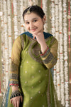 3 Piece Embroidered Organza Suit