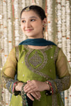 3 Piece Embroidered Organza Suit