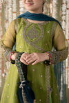 3 Piece Embroidered Organza Suit