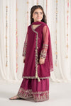3 Piece Embroidered Polyester Net Suit