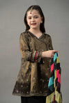3 Piece Embroidered Cotton Zari Net Suit