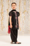 3 Piece Embroidered Organza Suit