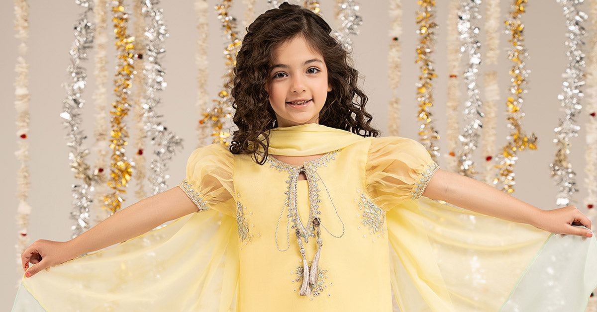 3 Piece Embroidered Organza Suit