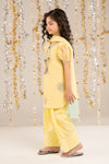 3 Piece Embroidered Organza Suit