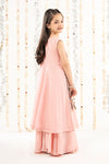 2 Piece Embroidered Cotton Net Suit