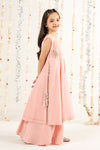 2 Piece Embroidered Cotton Net Suit
