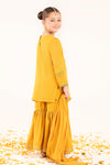 3 Piece Embroidered Cotton Net Suit