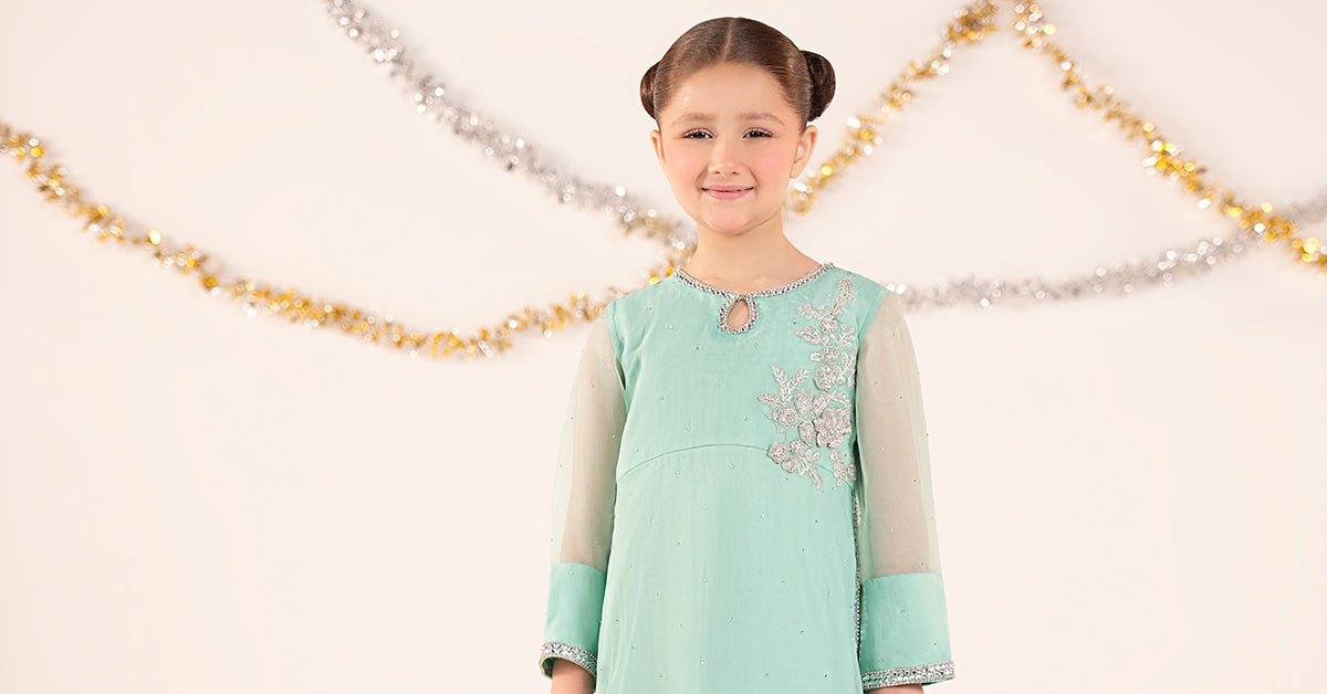 2 Piece Embroidered Organza Suit