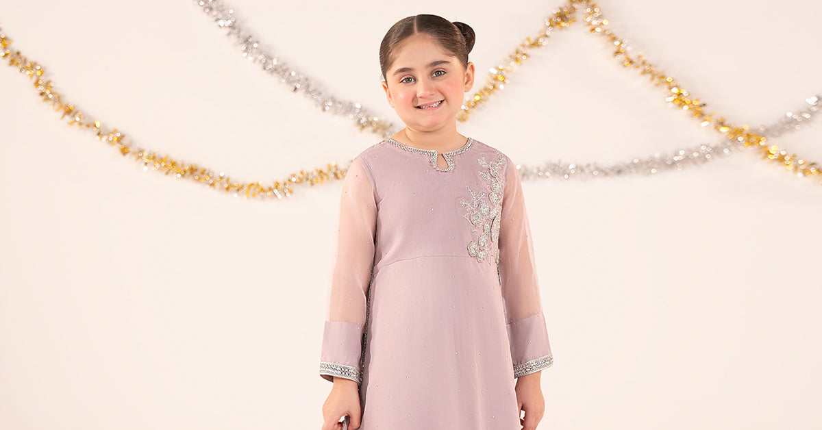 2 Piece Embroidered Organza Suit