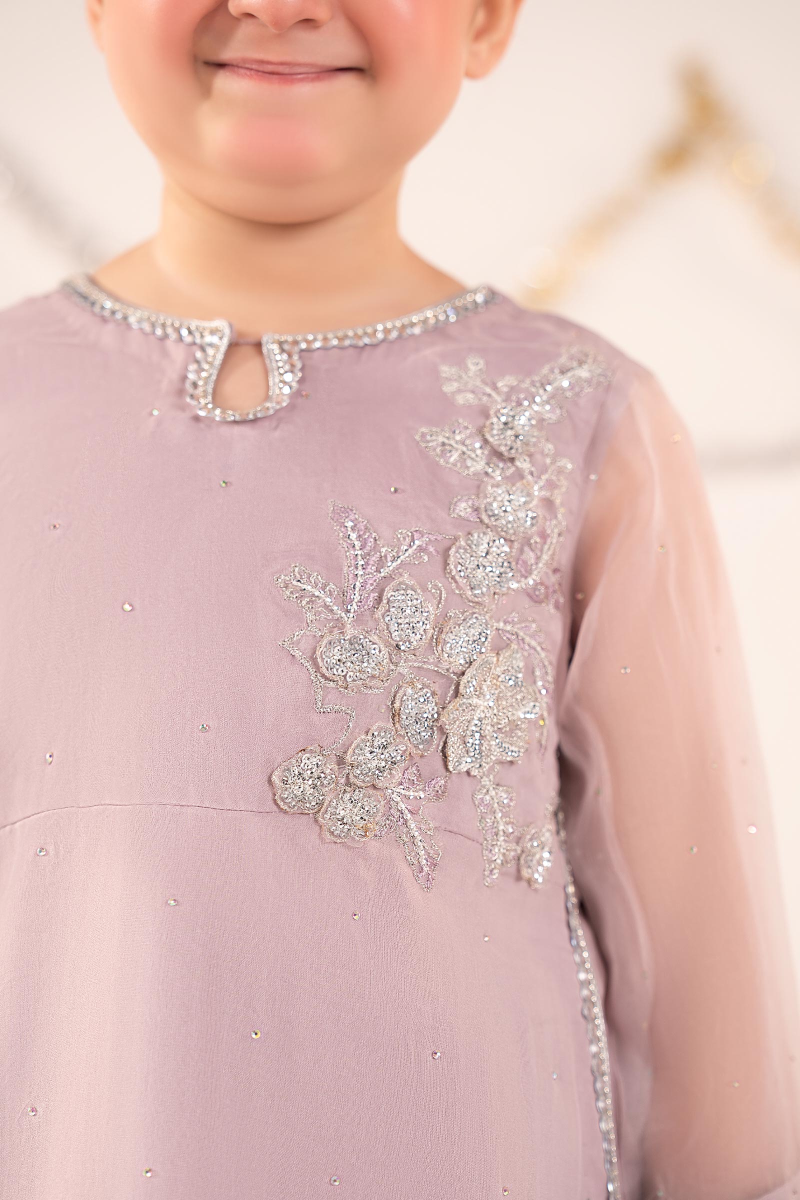 2 Piece Embroidered Organza Suit