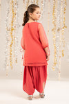 2 Piece Embellished Organza Suit