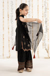 3 Piece Embroidered Raw Silk Suit