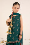 3 Piece Embroidered Raw Silk Suit