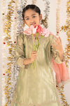 3 Piece Embroidered Tissue Suit