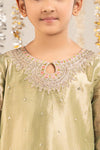 3 Piece Embroidered Tissue Suit