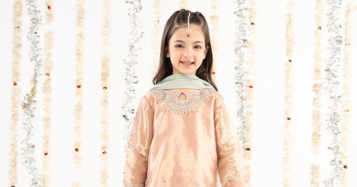 3 Piece Embroidered Tissue Suit