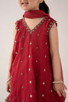 3 Piece Embroidered Cotton Net Suit
