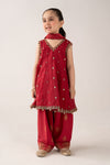 3 Piece Embroidered Cotton Net Suit