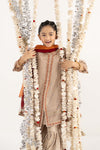 3 Piece Embroidered Zari Net Suit