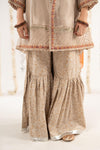 3 Piece Embroidered Zari Net Suit