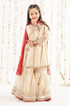 3 Piece Embroidered Raw Silk Suit