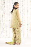 3 Piece Embroidered Organza Suit