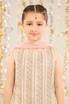 3 Piece Embroidered Organza Suit