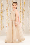 3 Piece Embroidered Organza Suit