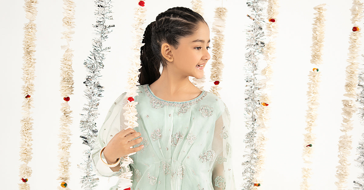 2 Piece Embroidered Organza Suit