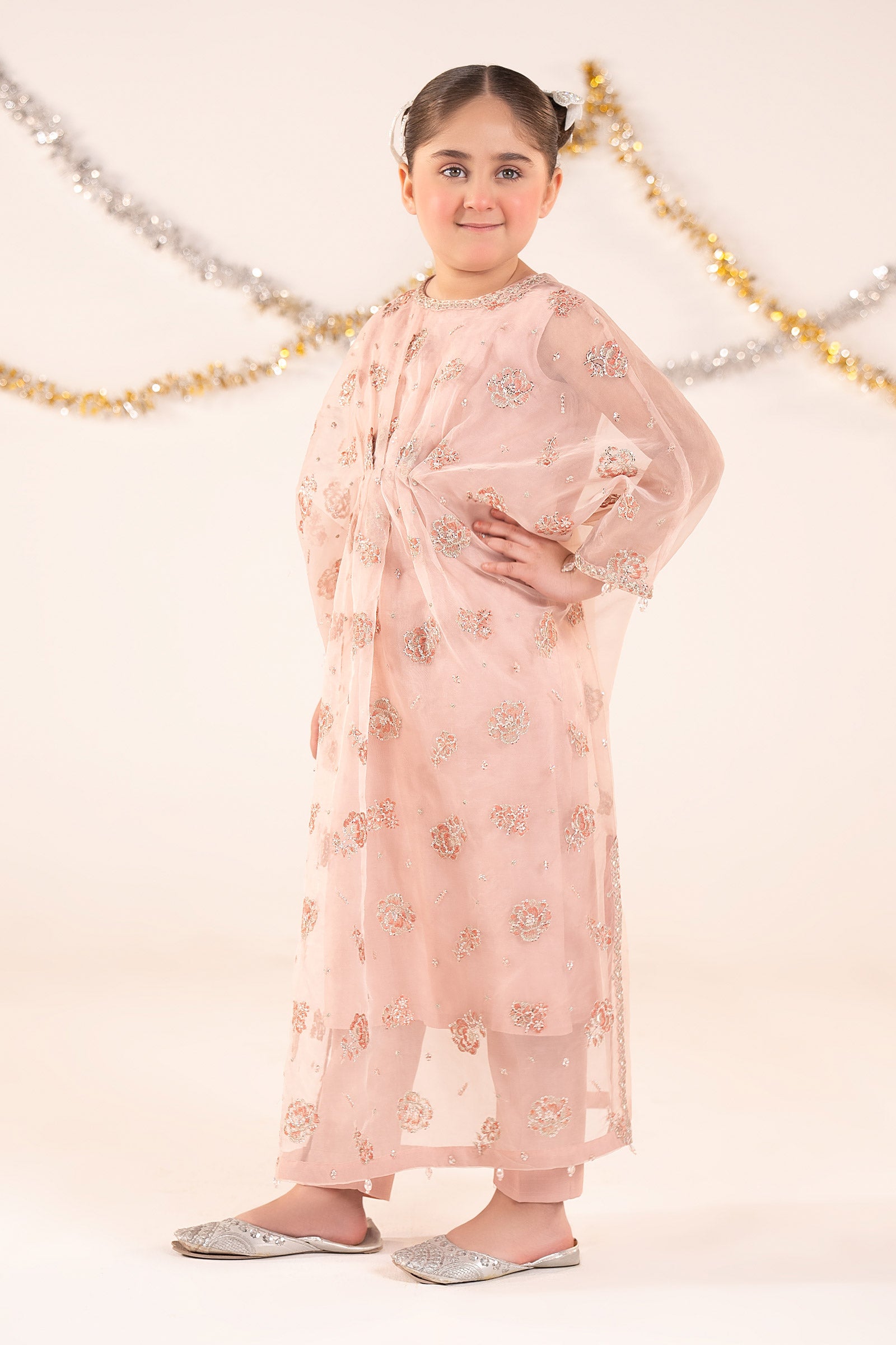 2 Piece Embroidered Organza Suit