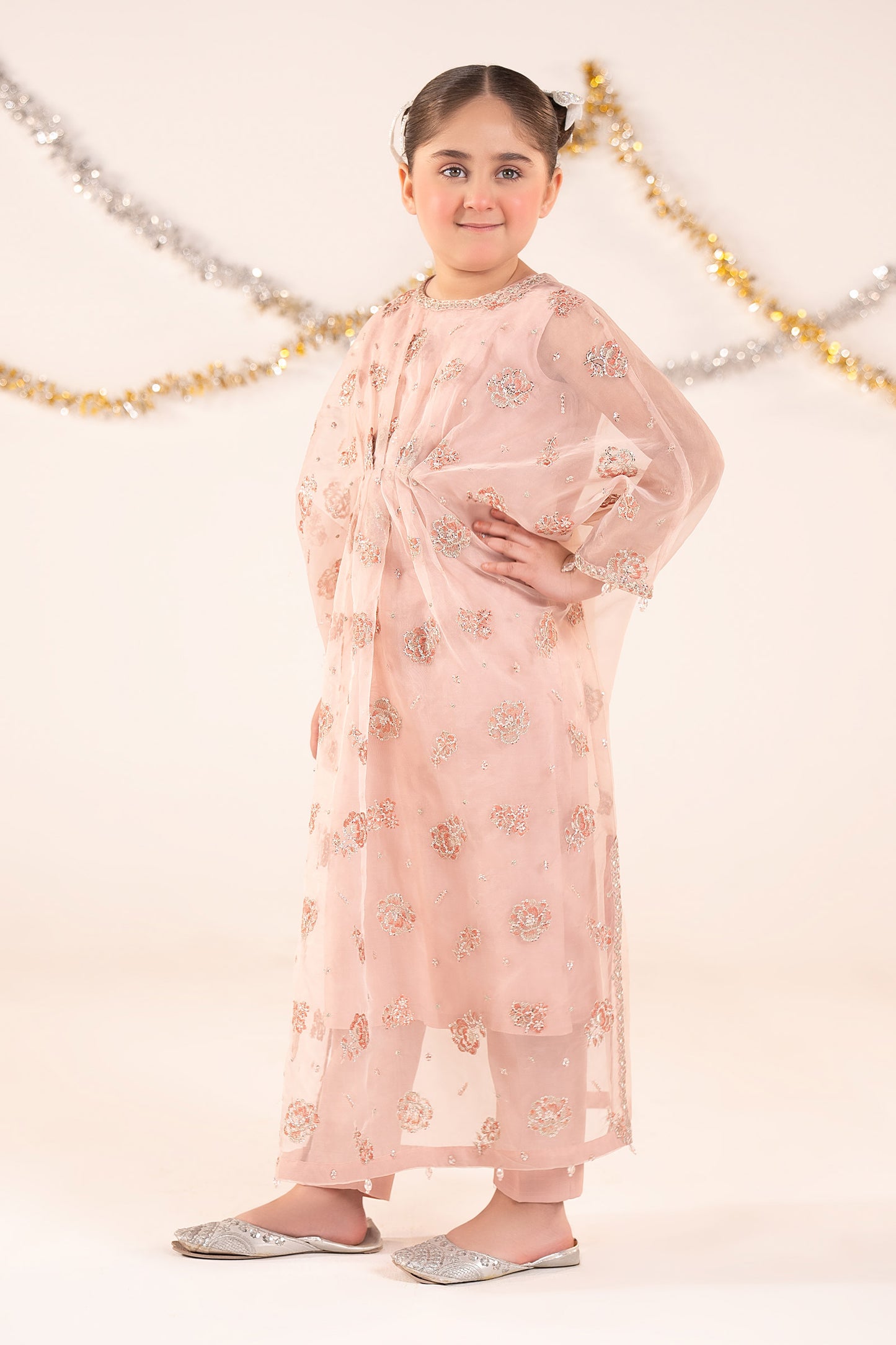 2 Piece Embroidered Organza Suit