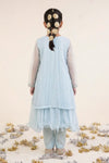 2 Piece Embroidered Organza Suit