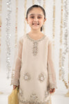 3 Piece Embroidered Organza Suit