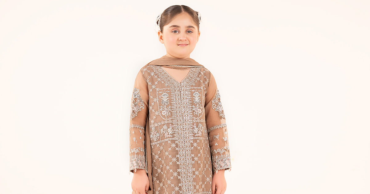 3 Piece Embroidered Organza Suit