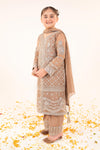 3 Piece Embroidered Organza Suit