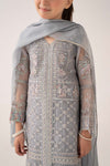 3 Piece Embroidered Organza Suit