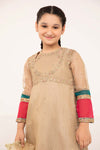 3 Piece Embroidered Zari Net Suit