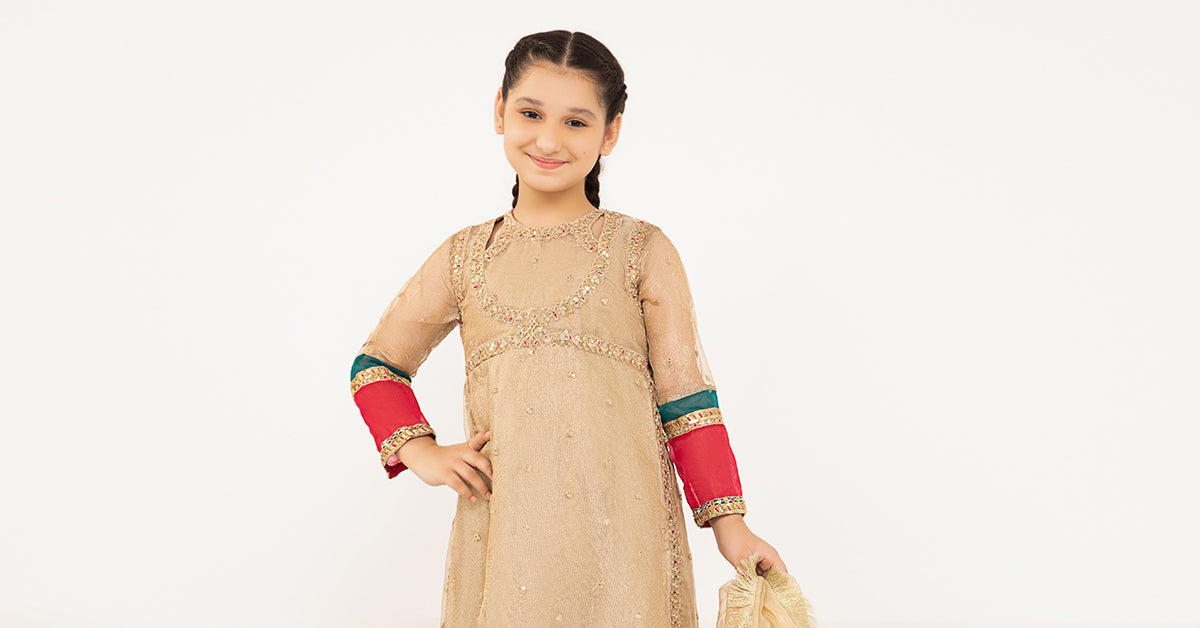 3 Piece Embroidered Zari Net Suit