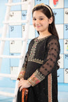 3 Piece Embroidered Cotton Zari Net Suit