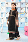 3 Piece Embroidered Cotton Zari Net Suit